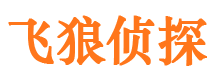 惠民市婚外情调查